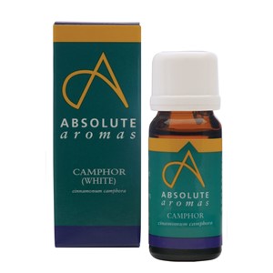 Absolute Aromas Camphor oil 10ml